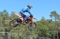 _ROB6896 (Copy)